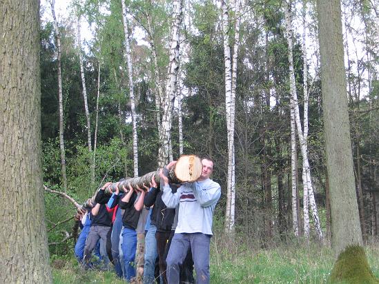 Maibaum 031.jpg